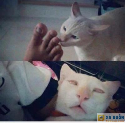  :d  phê hơn keo chó :))  :d  -  haivl | hài hước | hài vl   