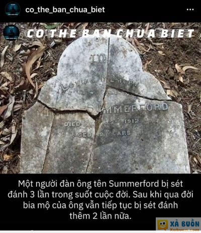  :x  lý do lúc sống a ấy là xem chùa ^^  <3  -  haivl | hài hước | hài vl 