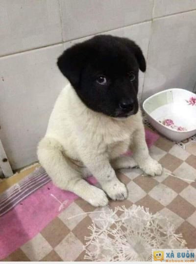  <3 <3   đang in dở thì hết mực  =)) <3   -  haivl | hài hước | hài vl  