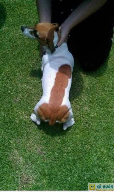  :d  nhìn cái lề  :d  -  haivl | hài hước | hài vl  