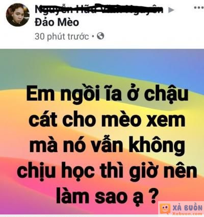  :v  cái này thì chịu thua rồi  :x :x  -  haivl | hài hước | hài vl  