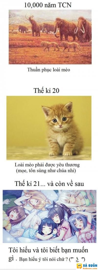  :x  hooman đã đi xa đến mức nào (づ￣ ³￣)づ  <3  -  haivl