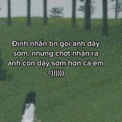 🤭🤭🤭 -  haivl | hài hước | hài vl  