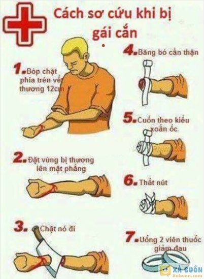  <3 <3   cách sơ cứu khi bị gái cắn  :x  -  haivl | hài hước | hài vl  