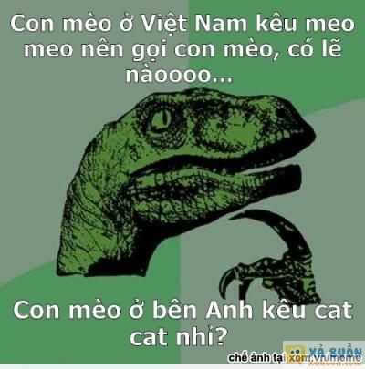  :v  meow meow nha!  <3  -  haivl | hài hước | hài vl  