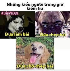  :(  các kiểu người trong lớp học  =))  -  haivl | hài hước | hài vl  