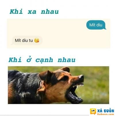  :)  yêu nhau lắm cắn nhau đau :))  <3  -  haivl | hài hước | hài vl  