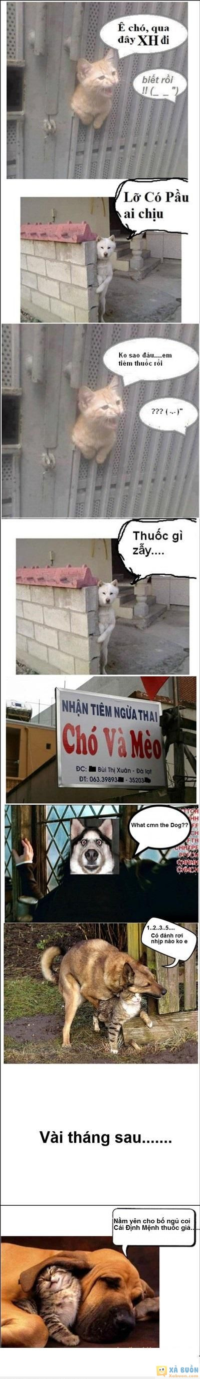  :(  chuyện tình cờ hó và mờ èo  =)) <3   -  haivl | hài hước | hài vl 