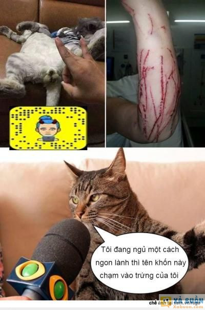  =))  cái tội nghịch ngu cho mày chừa :v  :x :x  -  haivl | hài hước | hài vl 