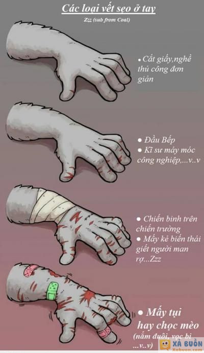  =)) <3   ai hay chọc mèo giống em không =))  :x :x  -  haivl | hài hước | hài vl 