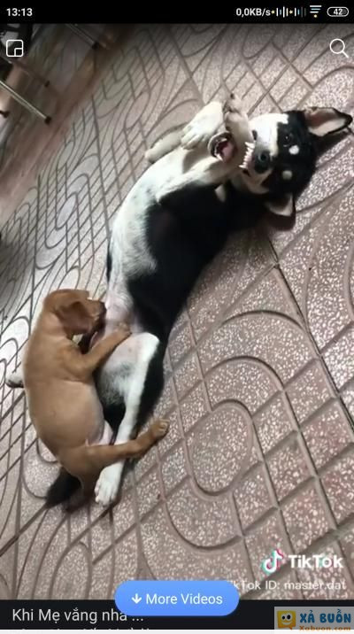  <3 <3   con với chả cái. nhà có mỗi 2 anh em.  =))  -  haivl