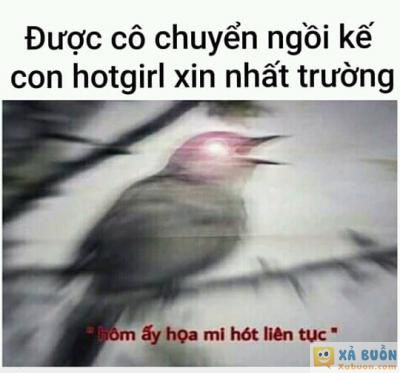  <3  hmmm  <3  -  haivl | hài hước | hài vl  