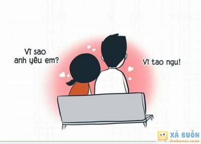  =))  vì tao ngu :))  <3  -  haivl | hài hước | hài vl  