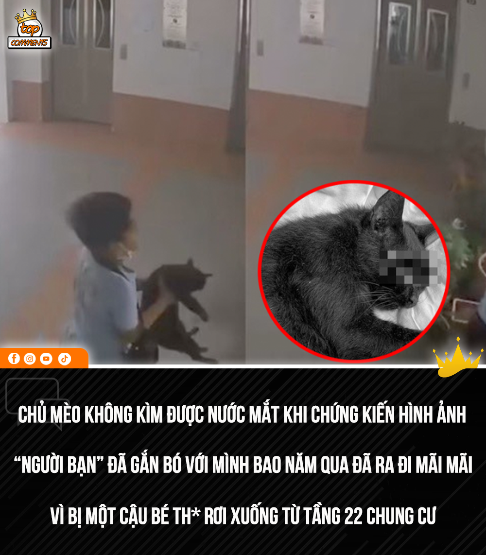 “CHÁU NÓ CÒN NHỎ BIẾT CÁI GÌ ĐÂU!”

Mới đây, 1 người khi đã chia sẻ câu chuyện đau lòng về sự ra đi mãi mãi của chú mèo cưng và thê rhienej sự bức xúc trước hành động của một cậu nhóc đã làm ra.

Theo đó, béXem thêm trai đã th* một chú mèo đen từ tầng 22 xuống đất khiến chú mèo ra đi mãi mãi. Ban đầu, cậu bé nhất quyết phủ nhận hành động, cho đến khi chủ chú mèo cho cậu xem clip trích xuất từ camera an ninh, cậu mới nhận lỗi.

Cậu bé nói rằng hành động trên của cậu là vì không nhận được tình yêu và sự quan tâm từ gia đình. Hành động của cậu bé là vô cùng đáng trách nnhưng người phải chịu phần lỗi lớn nhất đó chính là cha mẹ của cậu bé vì thiếu đi sự quan tâm yêu thương đến con của mình.

Theo Zing