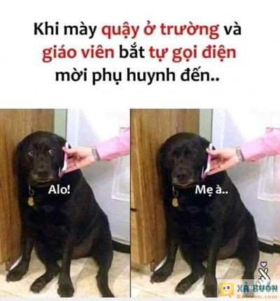  :d  " mẹ ơi,  hôm nay con sẽ ko về"  <3 <3   -  haivl