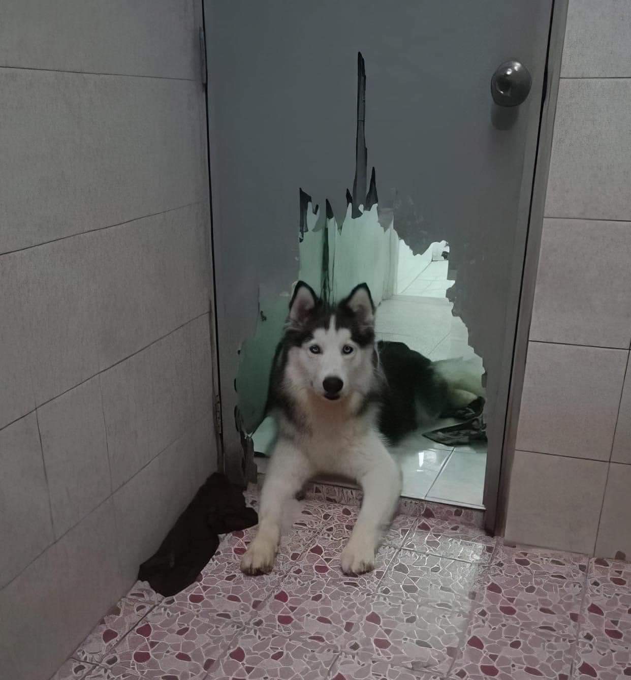 Khi cánh cửa này đóng lại, sẽ có cánh cửa khác mở ra =))