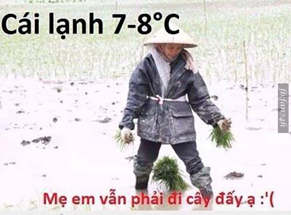 Lạnh vậy mà mẹ kiếm tiền luôn con mẹ khổ nhiều rồi ...