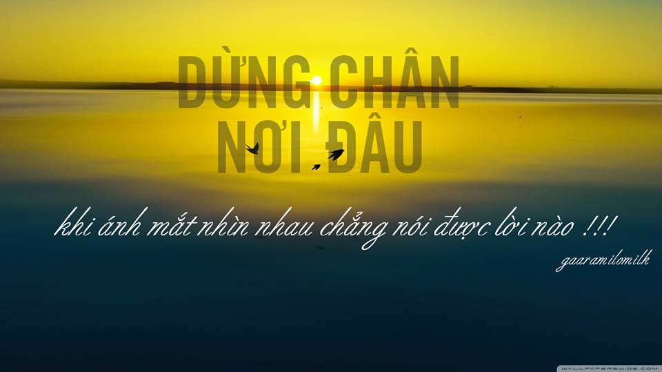 Dừng chân nơi đâu khi ánh mắt chưa nói một lời nào -  haivl