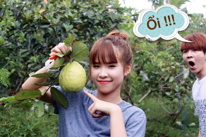 Ổi ngon không các bạn :) -  haivl | hài hước | hài vl   