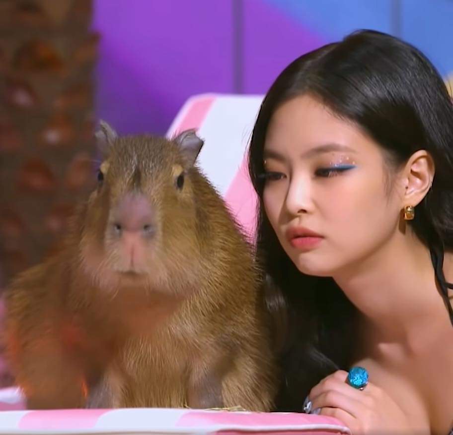 Độc lạ Capybara (chuột lang nước)- Bộ trưởng bộ ngoại giao giới động vật =))))
Clip ở dưới cmt 😍

Nguồn : VKR NEWS