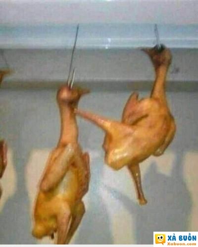  :3  tránh xa tao ra  :(  -  haivl | hài hước | hài vl  