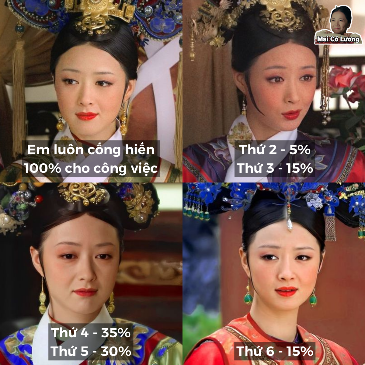 Là 100% dữ chưa

#chuyệncủahoa
#Maicoluong #Xu -  haivl | hài hước | hài vl 