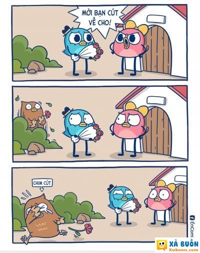  :(  xôi xéo và chim cút =))  hài hước   -  haivl | hài hước | hài vl  