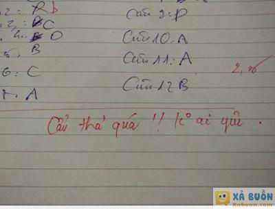 :(  lời phê của năm :v  =)) <3   -  haivl | hài hước | hài vl     :(  lời phê của năm :v  =)) <3   -  haivl | hài hước | hài vl