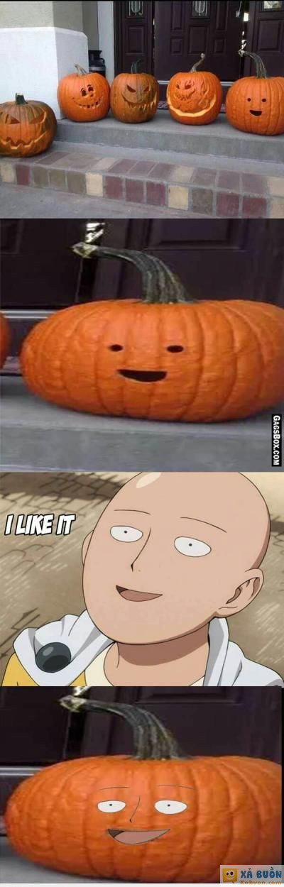  =)) <3   quả bí ngô mạnh nhất vũ trụ  :x  -  haivl | hài hước | hài vl 