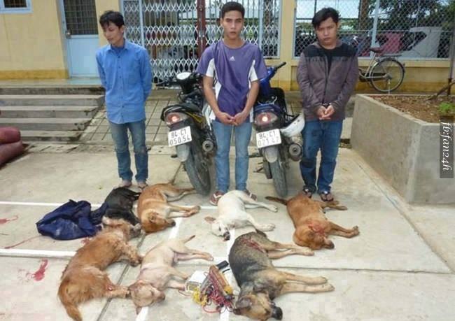 Chúng có đang bị đánh không ? -  haivl | hài hước | hài vl   