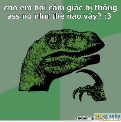  =)) <3   hỏi ngu tý :d  =)) <3   -  haivl | hài hước | hài vl   
