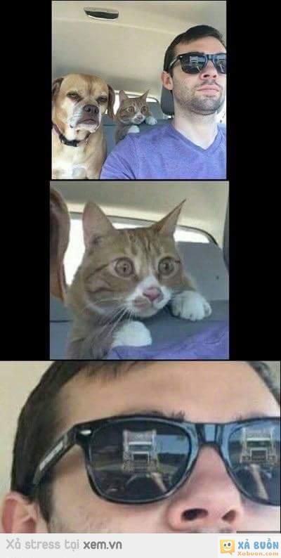  :v  ai còn nhớ nào em đăng lại đây  :d  -  haivl | hài hước | hài vl 