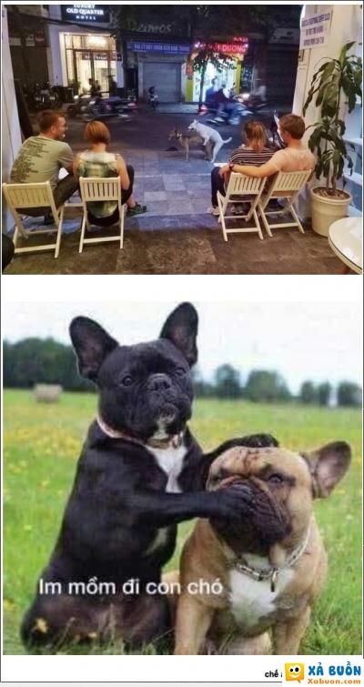  haivl  lần đầu đi du lịch qua vn  :v  -  haivl | hài hước | hài vl  