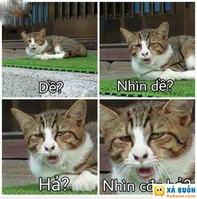  :(  lạnh lắm rồi, nhìn gì mà nhìn  :x  -  haivl | hài hước | hài vl  