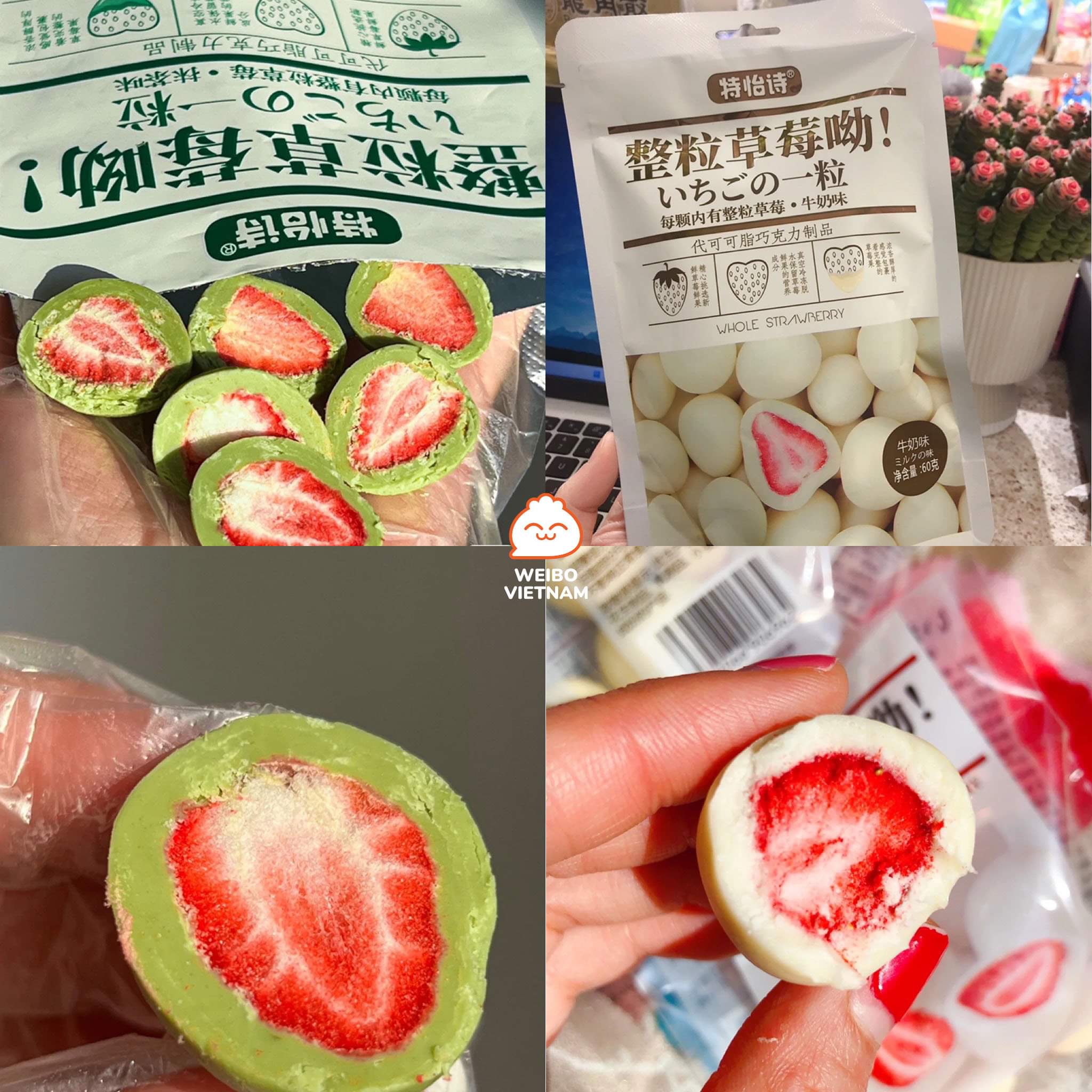 [WEIBO REVIEW] KẸO SOCOLA BỌC DÂU TÂY SẤY GIÒN THƠM NGON

Team vừa thích dâu tây vừa thích socola làm sao có thể bỏ qua món ăn vặt ngọt ngào này được. Trong mỗi túi kẹo 60gr là những viên kẹo nhỏ xinh được đóngXem thêm gói riêng biệt rất tiện lợi. Mỗi viên kẹo là một trái dâu tây sấy dẻo, bao phủ bên ngoài là lớp socola thơm ngọt với 3 hương vị socola sữa, socola trà xanh và socola truyền thống. Vị chua chua của dâu kết hợp với vị ngọt ngào của socola quả là không gì tuyệt hơn.

Món này để được ở nhiệt độ thường nhưng không quá cao, và khi để trong tủ lạnh thì lớp socola sẽ trở nên giòn và ngon hơn đó. Tại Việt Nam, bạn có thể tìm mua loại kẹo làm từ dâu tây cùng lớp socola ngọt béo này ở Vương Phủ Tỉnh nha.

#vuongphutinh