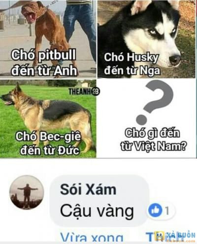  <3 <3   lại bảo sai đi:)  :x  -  haivl | hài hước | hài vl   