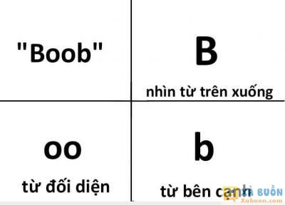  :v  iq 200 :)  :x  -  haivl | hài hước | hài vl  