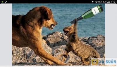  <3  mả cha mày  :x :x  -  haivl | hài hước | hài vl  
