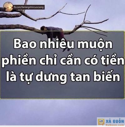  =))  lại bảo sai đi @.@  =)) <3   -  haivl | hài hước | hài vl   
