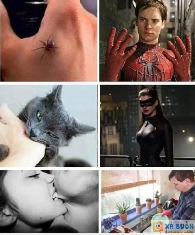  <3  nguy hiểm lắm anh em ak  :d  -  haivl | hài hước | hài vl   