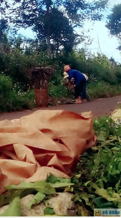  :v  tình cảm k bà con  :x  -  haivl | hài hước | hài vl   