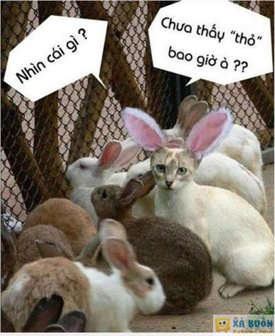  :(  thua :))  <3 <3   -  haivl | hài hước | hài vl  