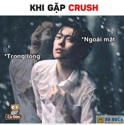  <3  đúng phết nhở  <3  -  haivl | hài hước | hài vl  