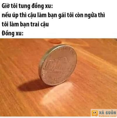  :d  đ.m :))  :x :x  -  haivl | hài hước | hài vl  