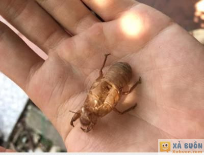  :x  nó đến rồi các bác ạ, đầu cứ ong ong từ sáng tới giờ  <3 