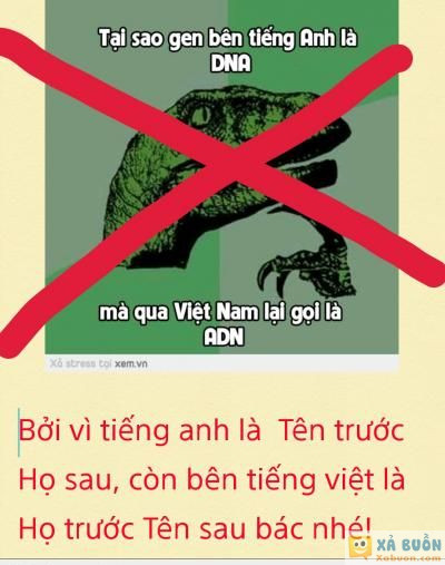  <3 <3   gửi bác swag-sana gì đó nhé!  <3  -  haivl | hài hước | hài vl  