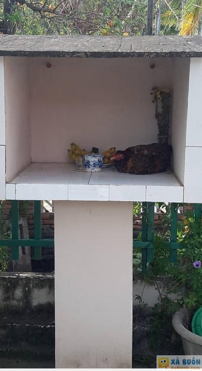  :x :x  phải nói là tinh thần tự giác của chú mày rất cao  =)) <3  