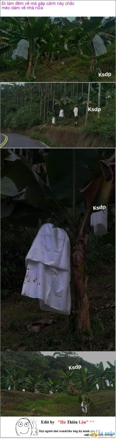  :x :x  đang đi gió thổi cái đó bay ra thì chắc té đá*  =)) 