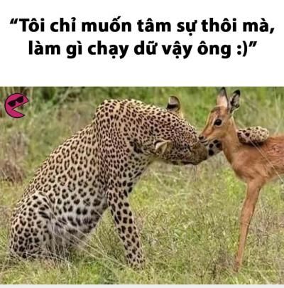  :3  ông đừng có mà bốc phét, đừng có mồm điêu đi  =)) <3  