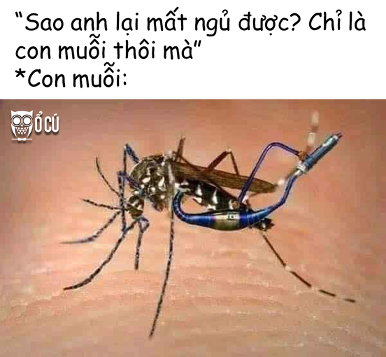 Bất ngờ chưa bà dà :D -  haivl | hài hước | hài vl  